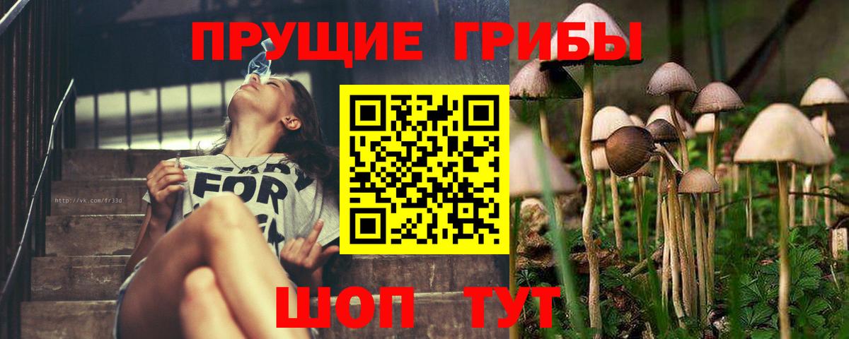 Псилоцибиновые грибы мухоморы Малоярославец